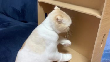 ルーター収納が届きました