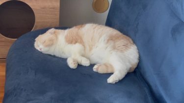 そっと教えてね