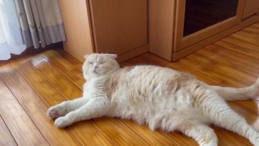 どんなことでも