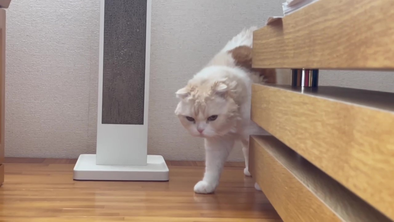 画像に alt 属性が指定されていません。ファイル名: 20230514_d.jpg