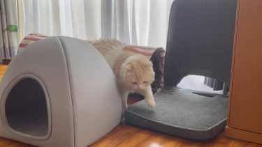 朝のコミュニケーション