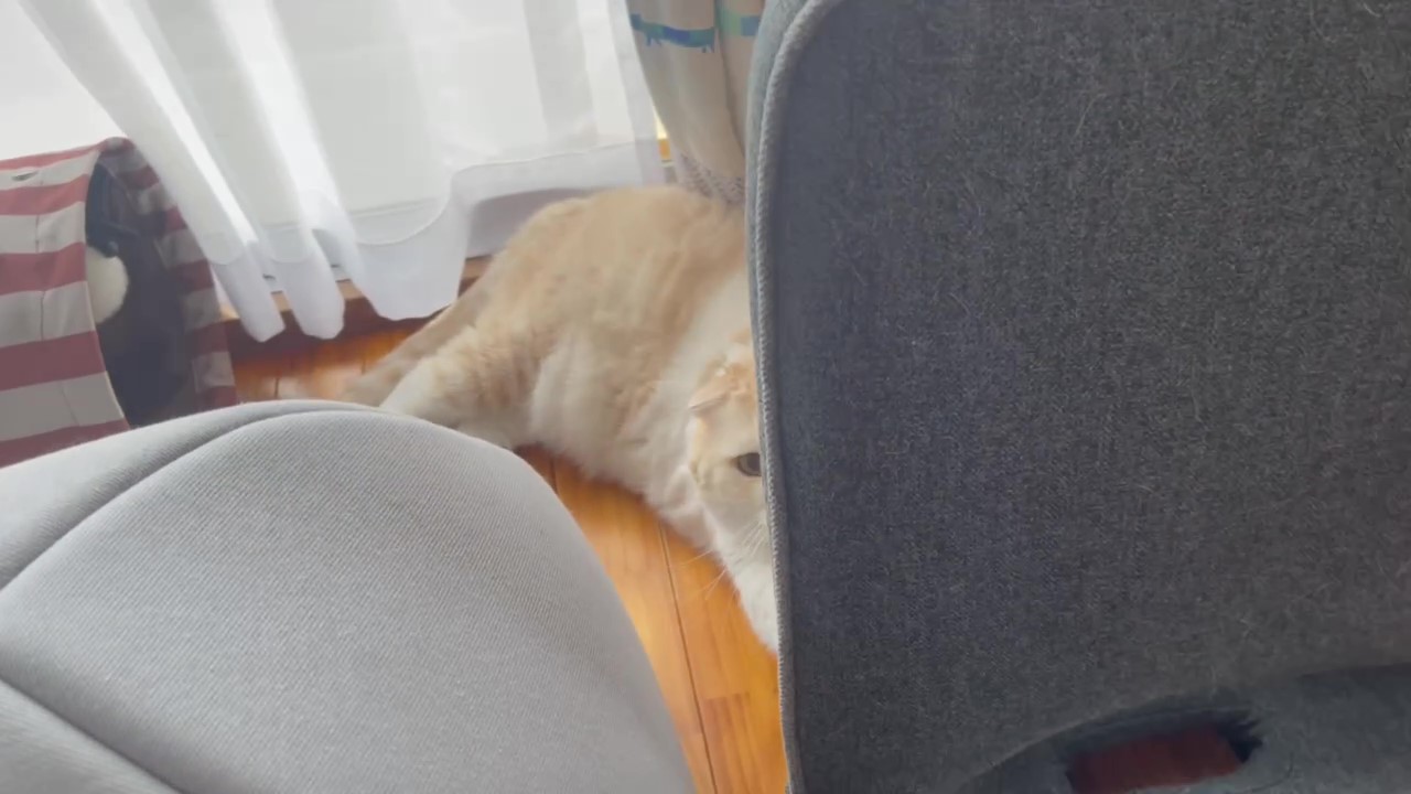 画像に alt 属性が指定されていません。ファイル名: 20230530_d.jpg