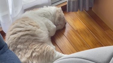 いろんなものに囲まれて