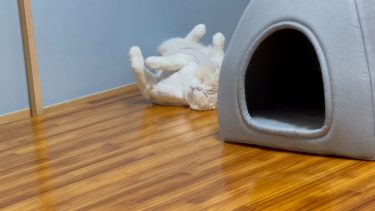 気付いてくれました