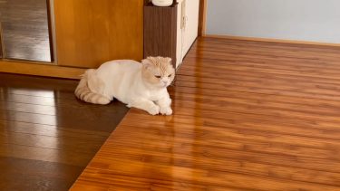 ひとりでのんびり