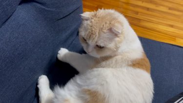 ナッツの温かみ