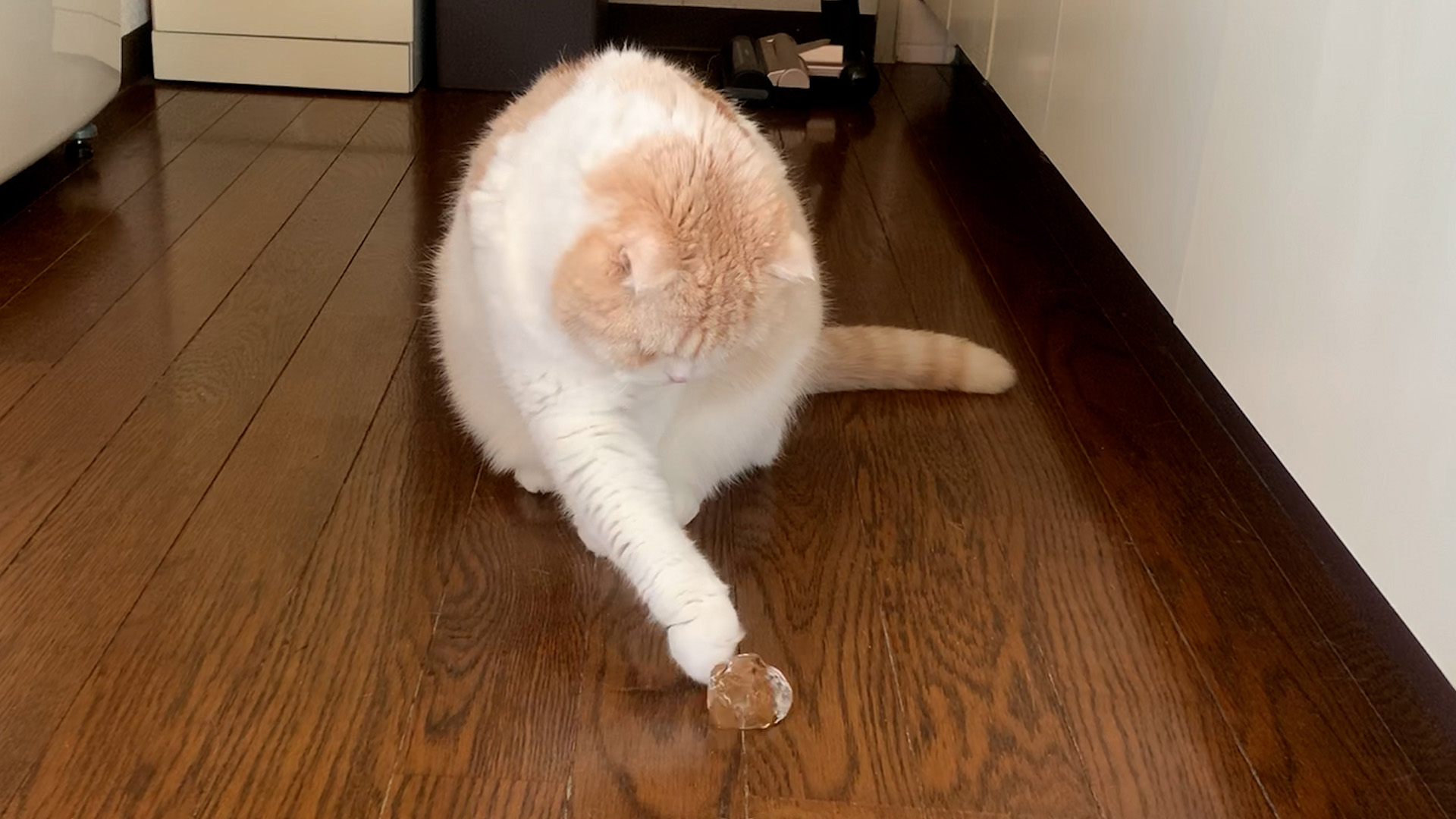 画像に alt 属性が指定されていません。ファイル名: 20231021_c.jpg