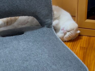 ころんころんころろん