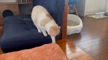 朝一から駆けつけます