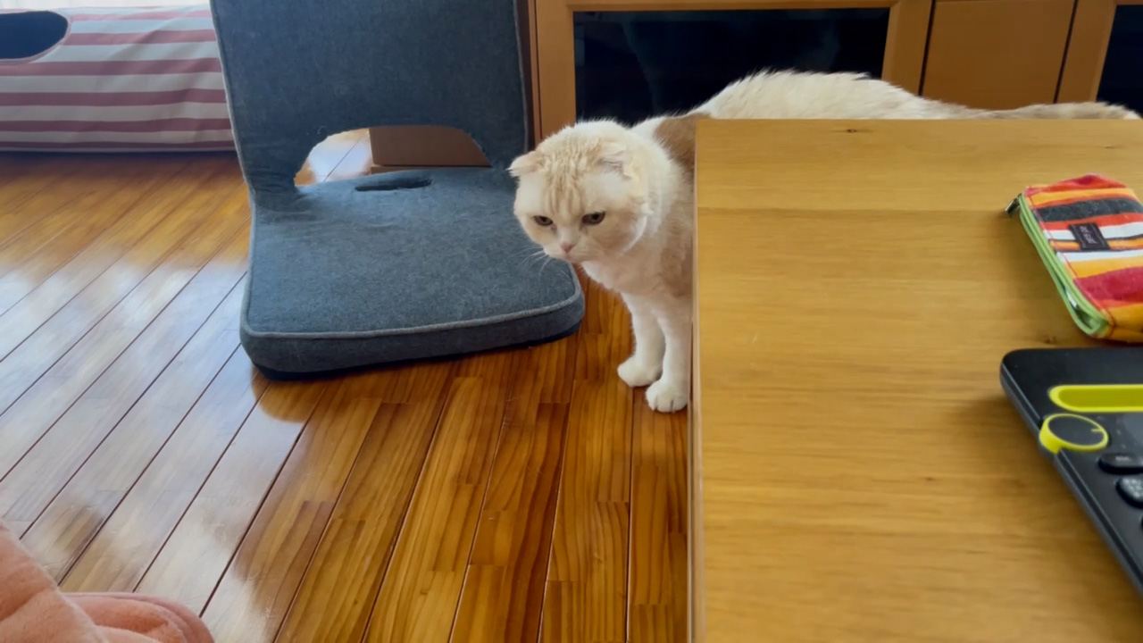 画像に alt 属性が指定されていません。ファイル名: 20131219_c.jpg