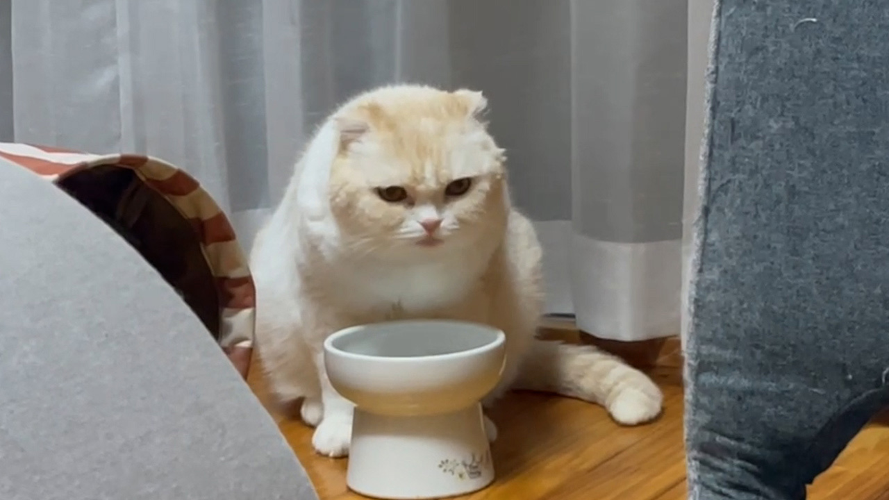 画像に alt 属性が指定されていません。ファイル名: 20231221_d.jpeg