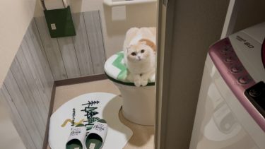 トイレで大冒険