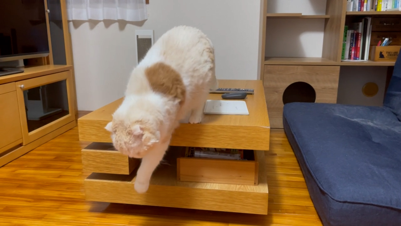 画像に alt 属性が指定されていません。ファイル名: 20240117_h.jpg