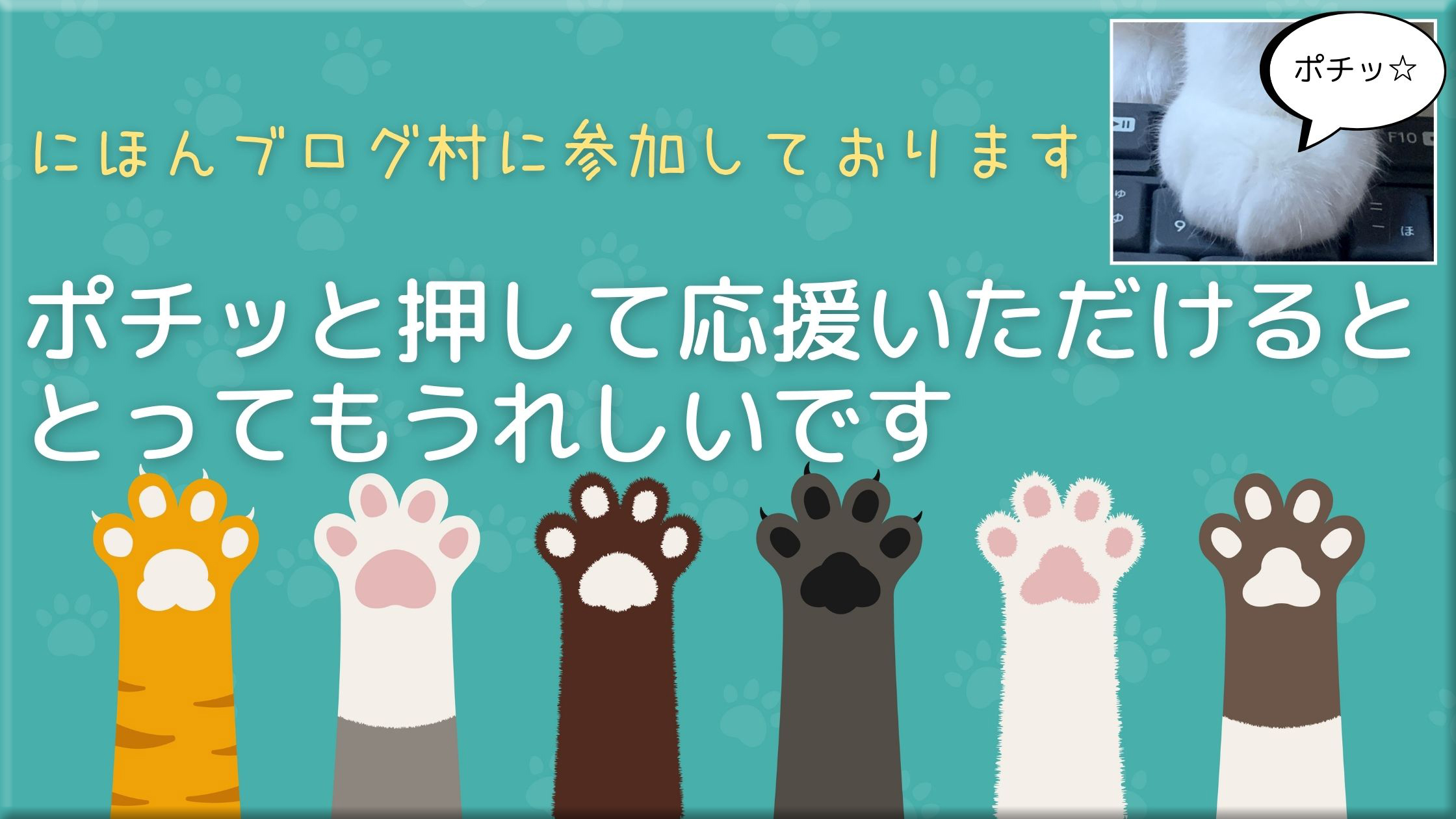 にほんブログ村 猫ブログ 猫 完全室内飼いへ