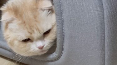 お顔を覗かせてくれました