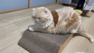 くつろぎスペース