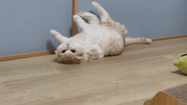 至福のひととき