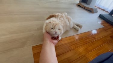 かけがえのないひととき