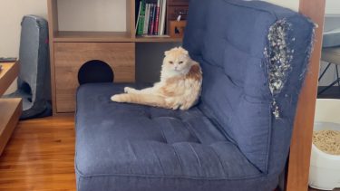 今日もバッチリ