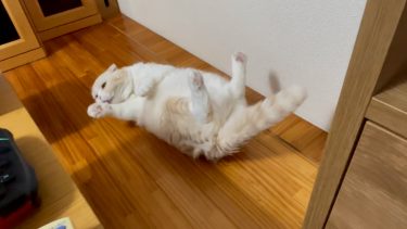 引き続き、お手入れ