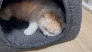 ナッツハウスにて