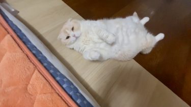 お家の中は、ぽかぽか