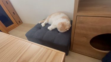 とてもぐっすり