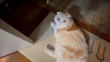 安心して下さいね