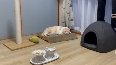 気にかけてくれます